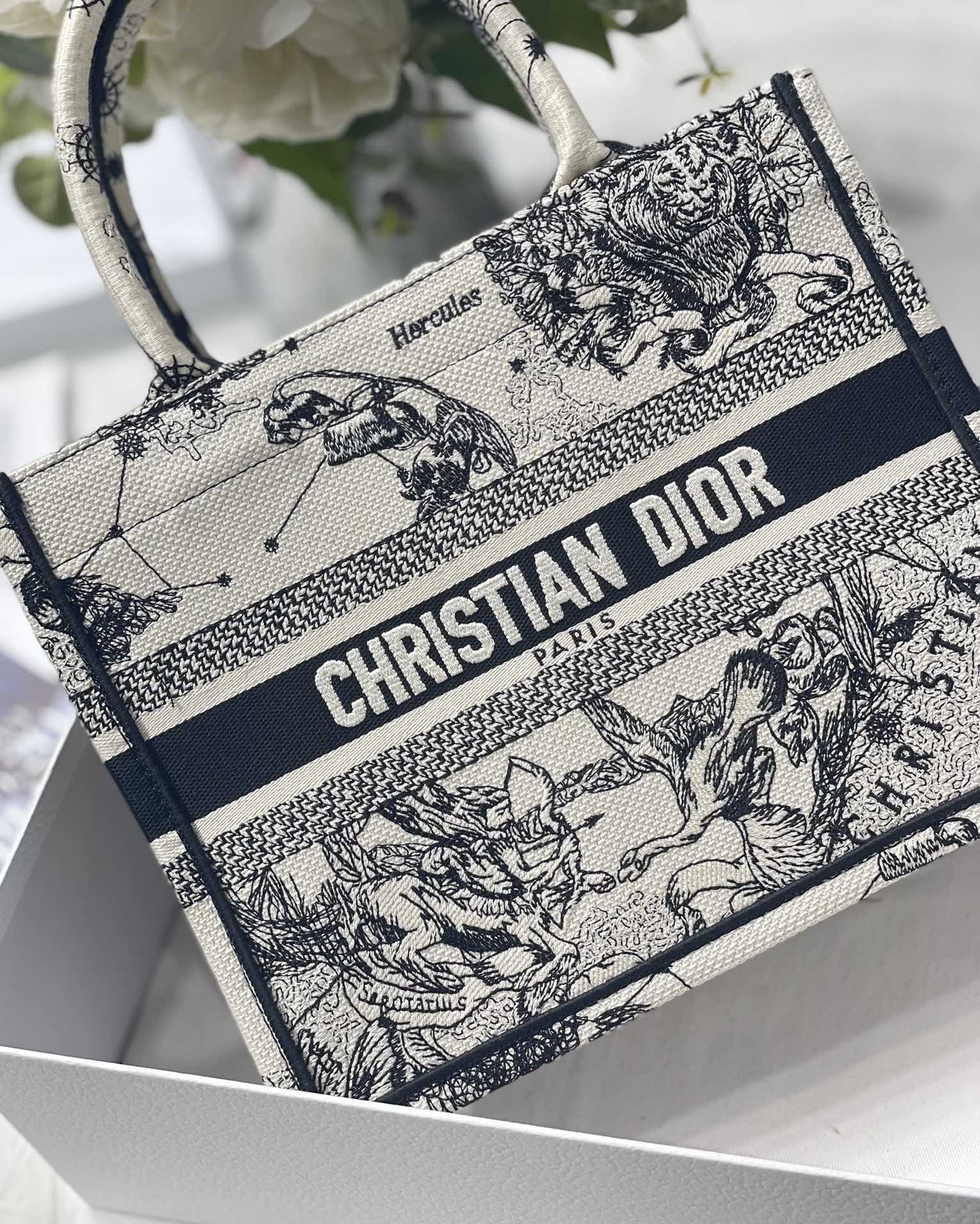 Medium Dior Book Tote Bag Latte and Black Dior Zodiac Embroidery